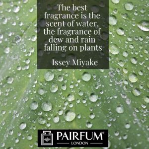 Issey Miyake Fragrance Water Dew Rain