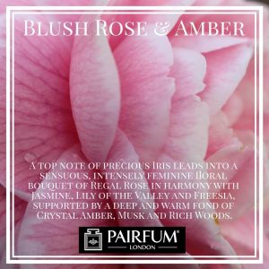 Pairfum London Blush Rose Amber Iris Jasmine Freesia
