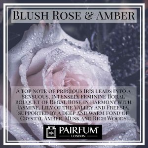 Pairfum London Blush Rose Amber Translucent Musk