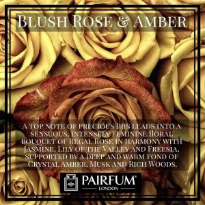 Pairfum London Blush Rose Amber Velvet Wood Botanical