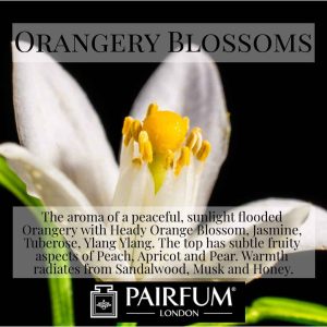 Pairfum London Orangerie Blossoms Orange