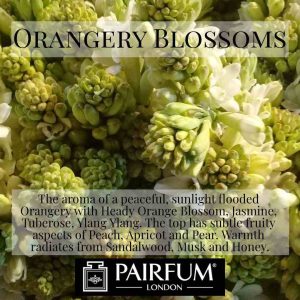Pairfum London Orangerie Blossoms Tuberose