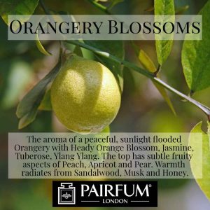 Pairfum London Orangerie Blossoms