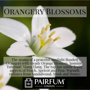 Pairfum London Orangery Bloom Musk
