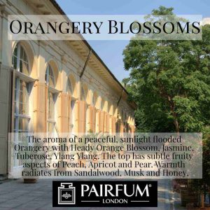 Pairfum London Orangery Blossoms Fragrance