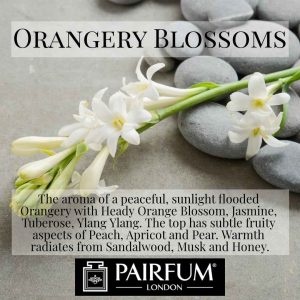 Pairfum London Orangery Blossoms Tuberose Honey