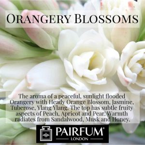 Pairfum London Orangery Blossoms Tuberose Pear Apricot
