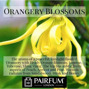 Pairfum London Orangery Blossoms Ylang Ylang Musk
