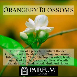Pairfum London Orangery Heady Orange Blossom Honey
