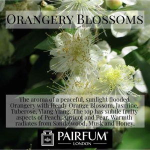 Pairfum Orange Blossom Jasmine Ylang Ylang Tuberose Pear
