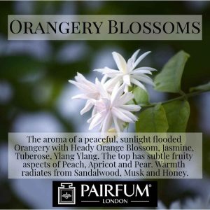 Pairfum Orange Blossom Jasmine Ylang Ylang Tuberose Scent