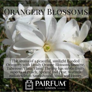 Pairfum Orangery Blossoms Jasmine Ylang Ylang Tuberose