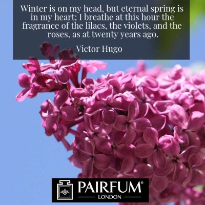 Victor Hugo Fragance Lilac Pairfum London Victor Hugo Fragance Lilac Pairfum London