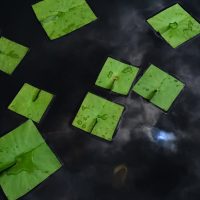 Baku Maeda Square Flower Leaf Art Baku Maeda Square Flower Leaf Art