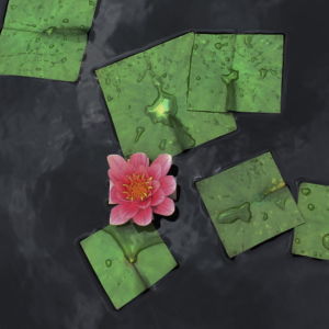 Square Flowers Leaves Baku Maeda Water Lily Pink Square Flowers Leaves Baku Maeda Water Lily Pink