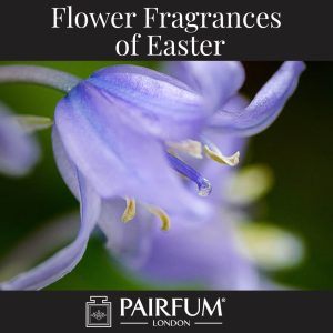 Flower Fragrances Of Easter Bluebell Flower Fragrances Of Easter Bluebell