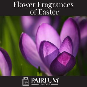 Flower Fragrances Of Easter Crocus Flower Fragrances Of Easter Crocus