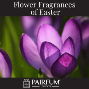 Flower Fragrances Of Easter Crocus