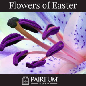 Flower Fragrances Of Easter Lily
