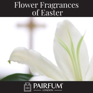 Flowers Of Easter White Lily Flowers Of Easter White Lily