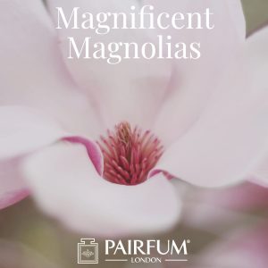 Magnificent Magnolias Windsor Park Perfume Magnificent Magnolias Windsor Park Perfume