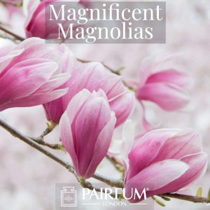 Perfume Magnificent Magnolias Windsor Park Perfume Magnificent Magnolias Windsor Park