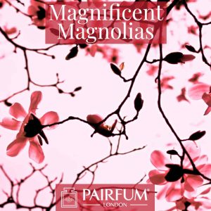 Perfumery Magnificent Magnolias Windsor Park Perfumery Magnificent Magnolias Windsor Park