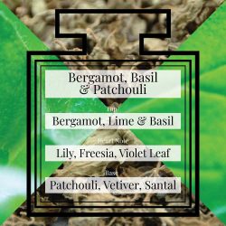 Pairfum Fragrance Bergamot Basil Patchouli Triangle Pairfum Fragrance Bergamot Basil Patchouli Triangle