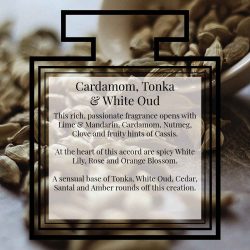 Pairfum Fragrance Cardamom Tonka White Oud Description Pairfum Fragrance Cardamom Tonka White Oud Description