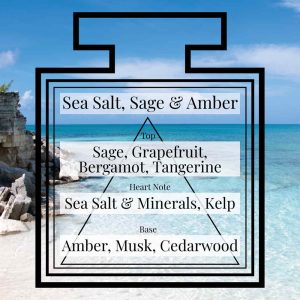 Pairfum Fragrance Sea Salt Sage Amber Triangle