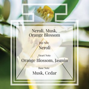 Pairfum Fragrance Neroli Musk Orange Blossom Triangle Ingredients