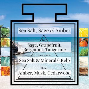 Pairfum Fragrance Sea Salt Sage Amber Triangle Ingredients Pairfum Fragrance Sea Salt Sage Amber Triangle Ingredients