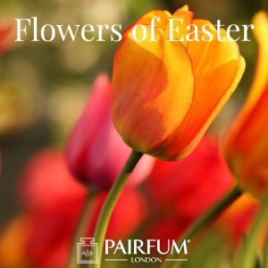 Pairfum London Flowers Of Easter Tulip Pairfum London Flowers Of Easter Tulip