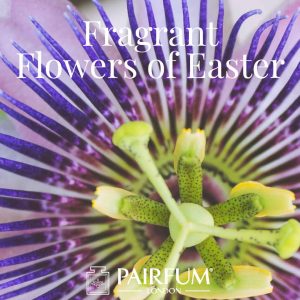 Pairfum London Flowers of Easter Passion Flower Pairfum London Flowers of Easter Passion Flower