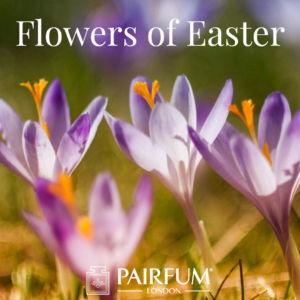 Pairfum London Fragrance Flower Of Easter Crocus