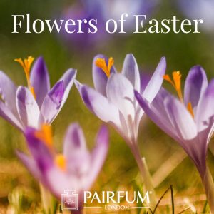 Pairfum London Fragrance Flower Of Easter Crocus Pairfum London Fragrance Flower Of Easter Crocus