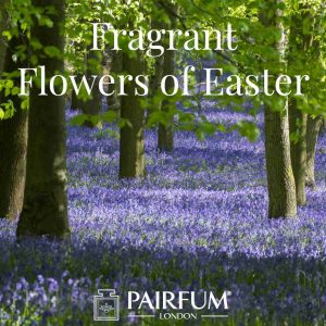 Pairfum London Fragrance Flowers Of Easter Bluebell Woodland Pairfum London Fragrance Flowers Of Easter Bluebell Woodland