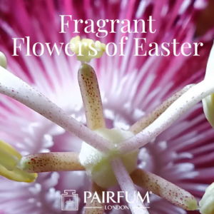 Pairfum London Fragrance Flowers Of Easter Passion Flower
