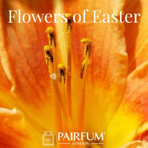 Pairfum London Fragrance Lily Flowers Of Easter Pairfum London Fragrance Lily Flowers Of Easter
