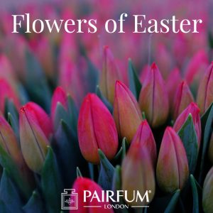 Pairfum London Fragrant Flowers Of Easter Tulip Pairfum London Fragrant Flowers Of Easter Tulip