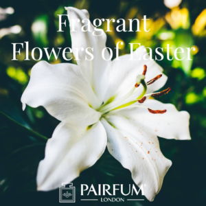 Pairfum London Fragrant Flowers Of Easter White Lily Pairfum London Fragrant Flowers Of Easter White Lily