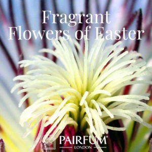 Pairfum London Fragrant Flowers Of Easter Passion Flower