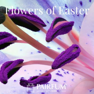 Pairfum London Perfume Flowers Of Easter Lily