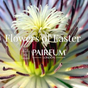 Pairfum London Perfumed Flowers of Easter Passion Flower Pairfum London Perfumed Flowers of Easter Passion Flower