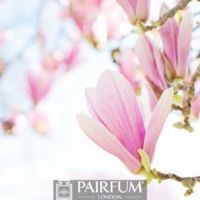 LIGHT PINK MAGNOLIA ARTWORK 1 LIGHT PINK MAGNOLIA ARTWORK 1