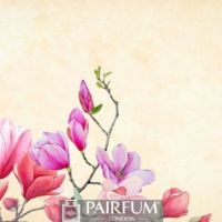 MUCH DARKER MAGNOLIA ARTWORK 1 MUCH DARKER MAGNOLIA ARTWORK 1