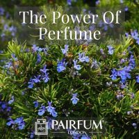 PERFUME TREND BLUE FLOWER SHRUB PERFUME TREND BLUE FLOWER SHRUB