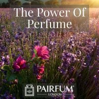 PERFUME TREND FLOWERS IN A MEADOW PERFUME TREND FLOWERS IN A MEADOW