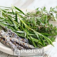 PERFUME TREND LAVENDER STALK PERFUME TREND LAVENDER STALK