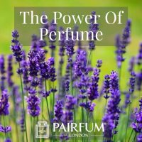 PERFUME TREND MAGNOLIA FLOWERS PERFUME TREND MAGNOLIA FLOWERS